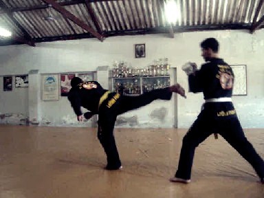 HAPKIDO